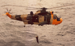sea_king